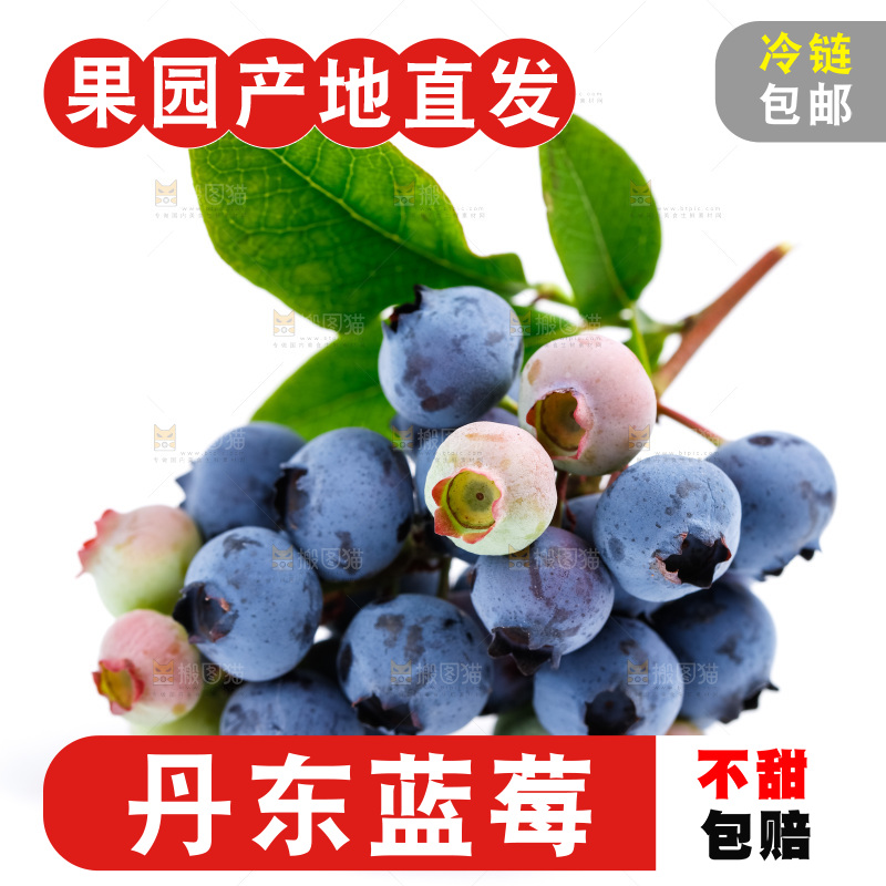 白底上摆放着蓝莓