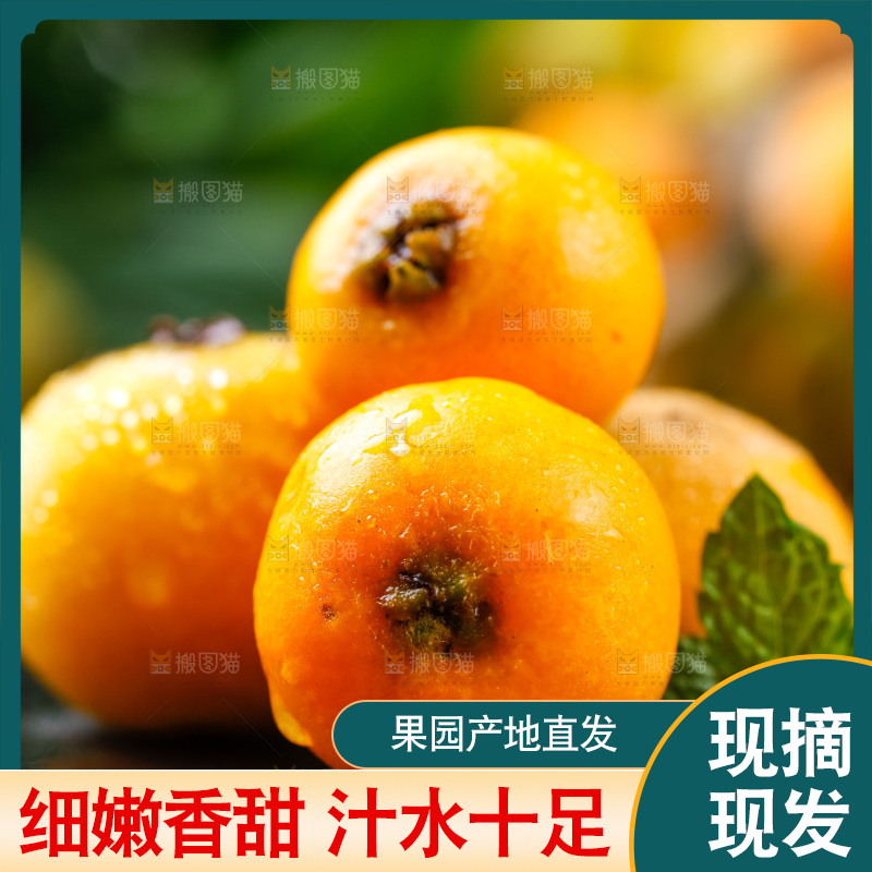 黑石板上放着四川米易枇杷