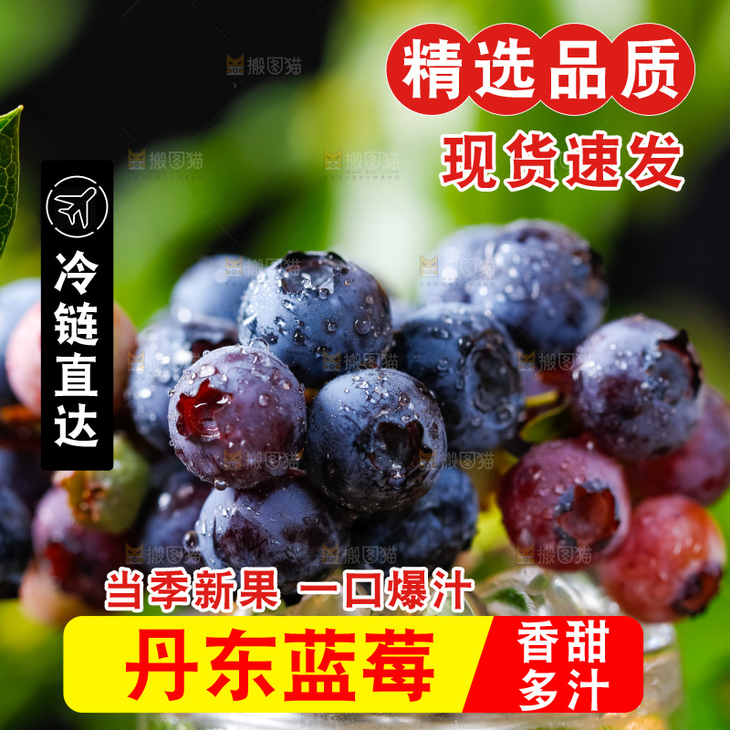 杯子上放着蓝莓