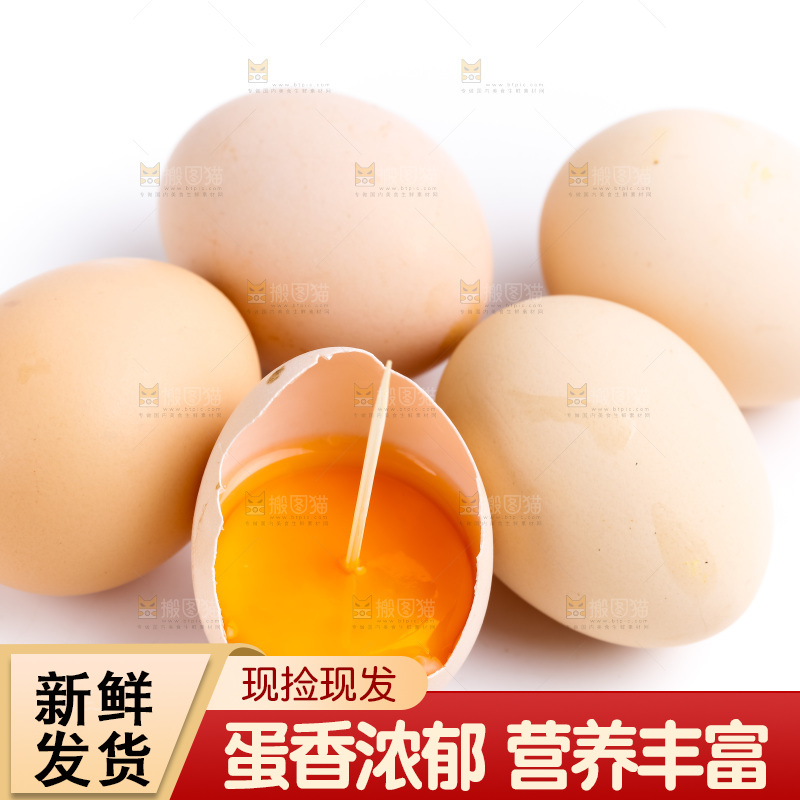 白底上的柴鸡蛋
