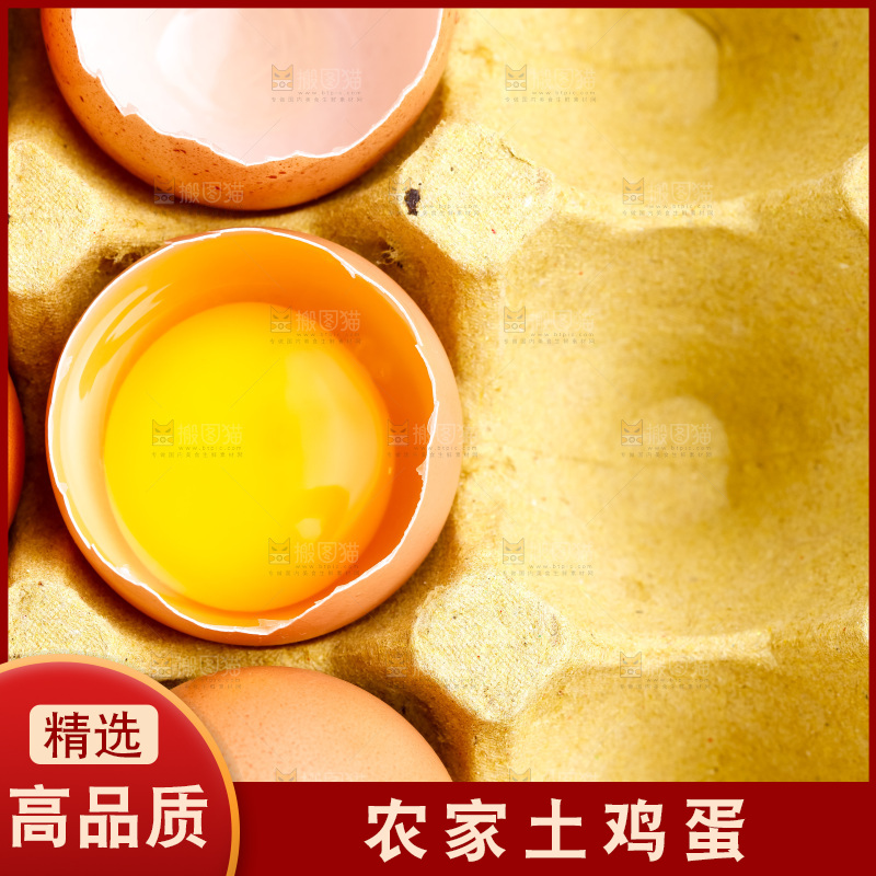 白底上的新鲜鸡蛋