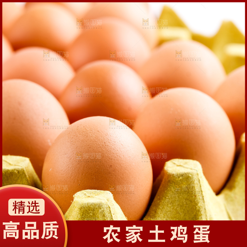 木底上放着新鲜鸡蛋