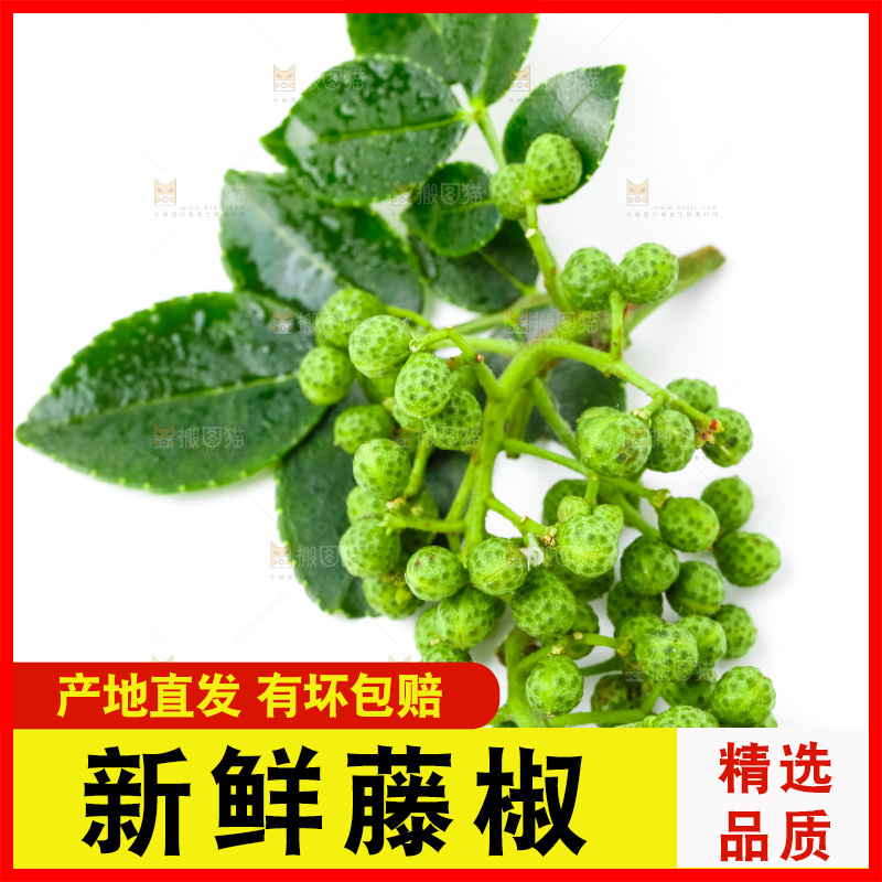白底上摆放着新鲜藤椒