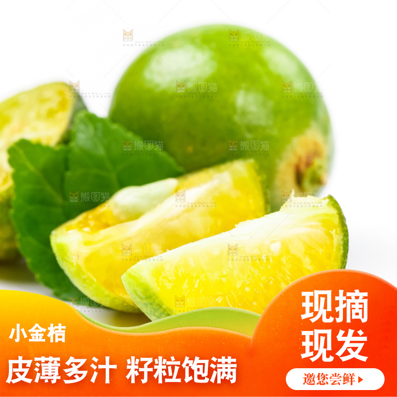 白底上放着小金桔