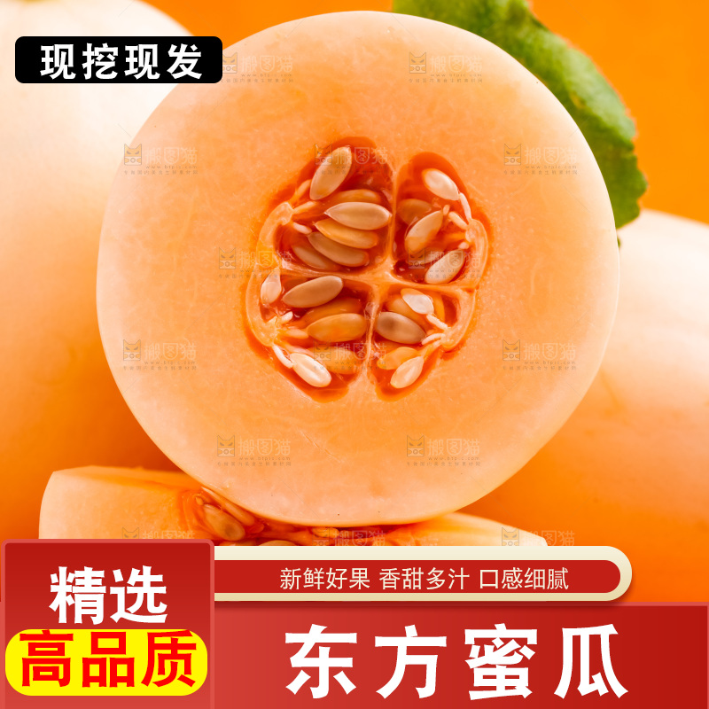 东方蜜瓜主图