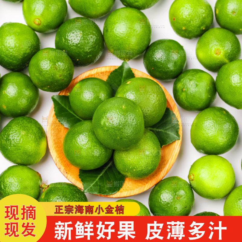 白底上摆放着小金桔