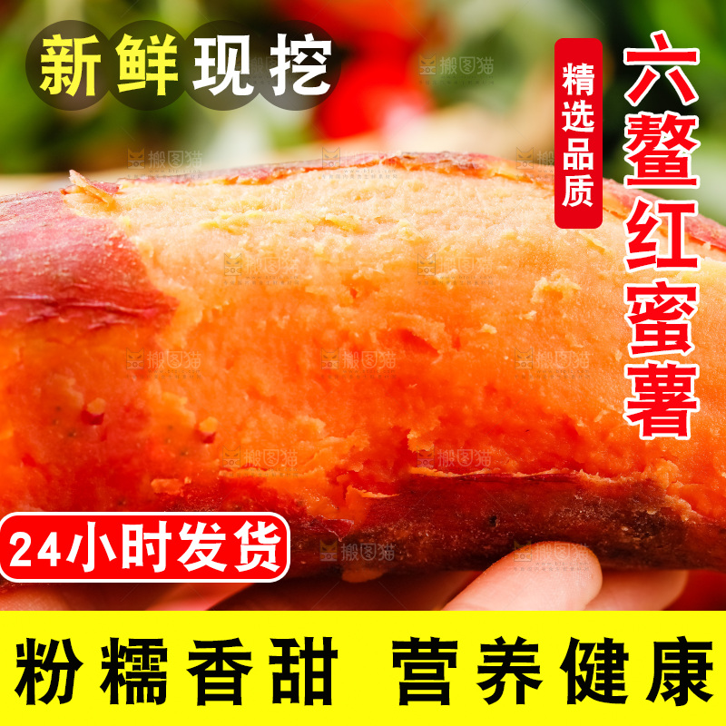 手里拿着六鳌蜜薯