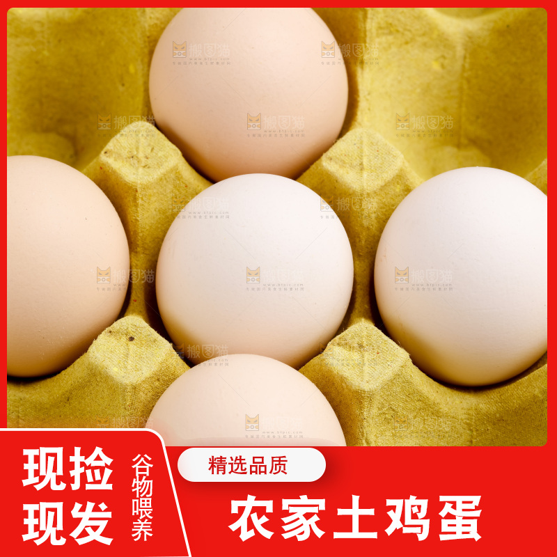 新鲜土鸡蛋放在白底上