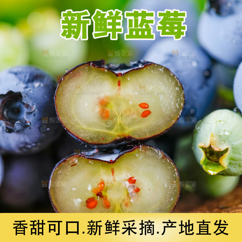 木底上放着山东蓝莓鲜果