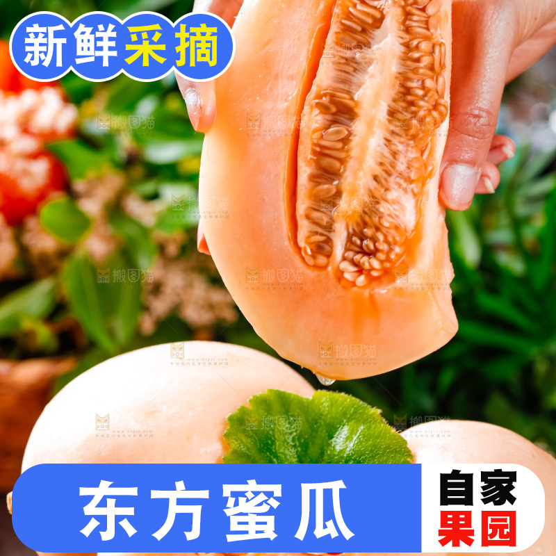 手拿东方蜜瓜切块