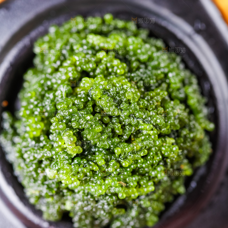 碗里装着长寿菜