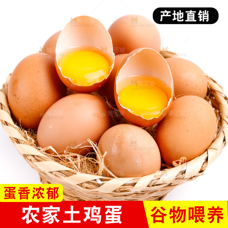 白底上放着散养鸡蛋