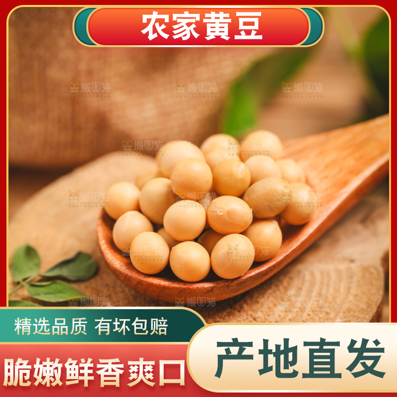 勺子里装着黄豆