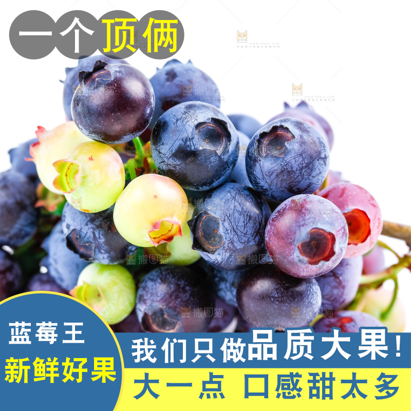 白底上摆放着蓝莓