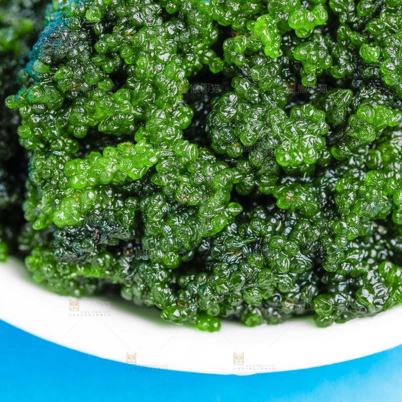 浅底上放着一盘盐渍海葡萄