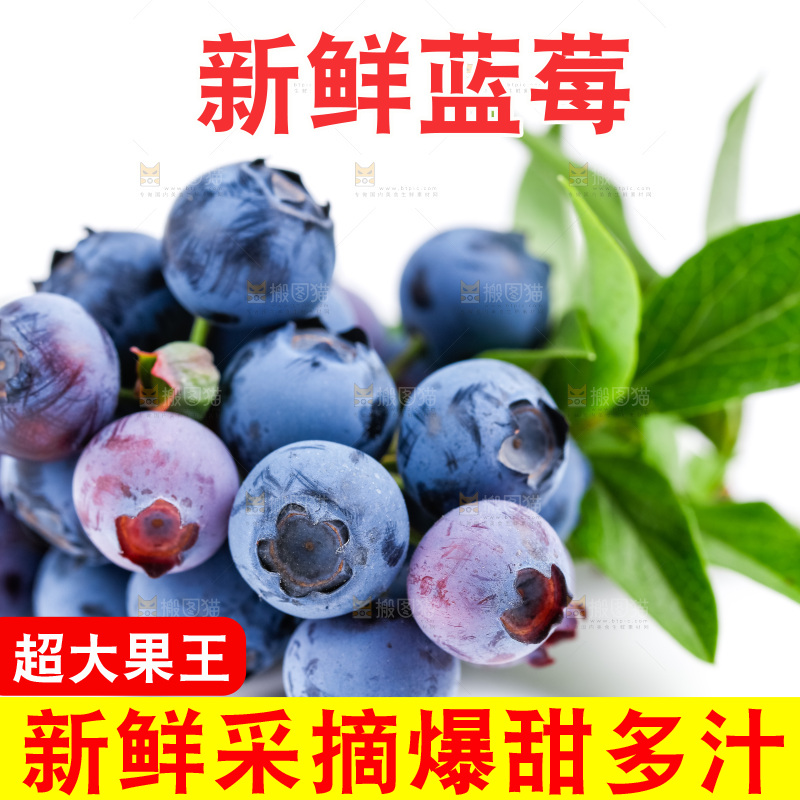 白底上摆放着蓝莓