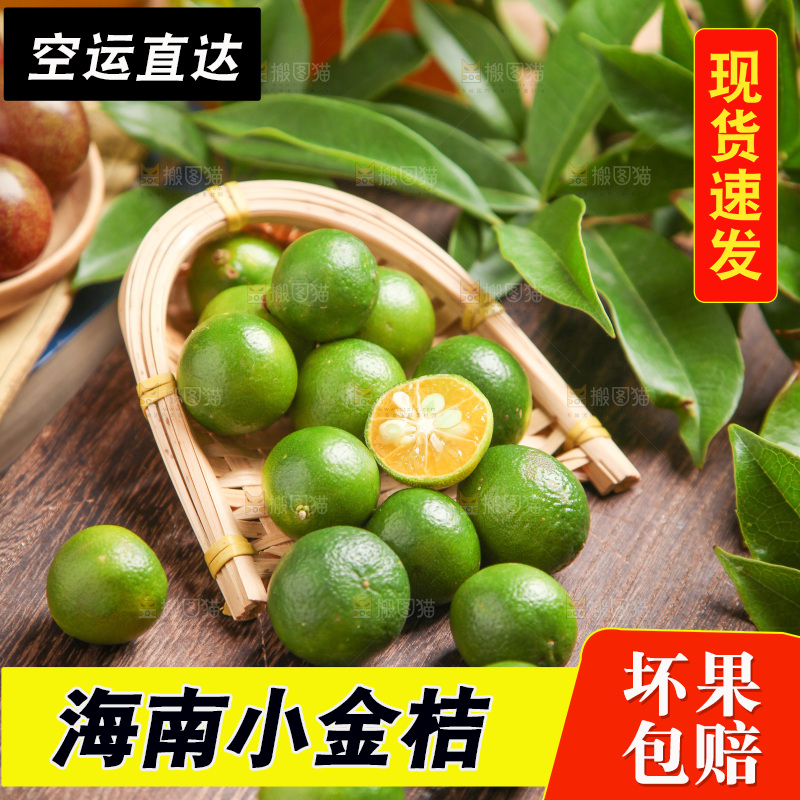 篮子里装着新鲜小金桔