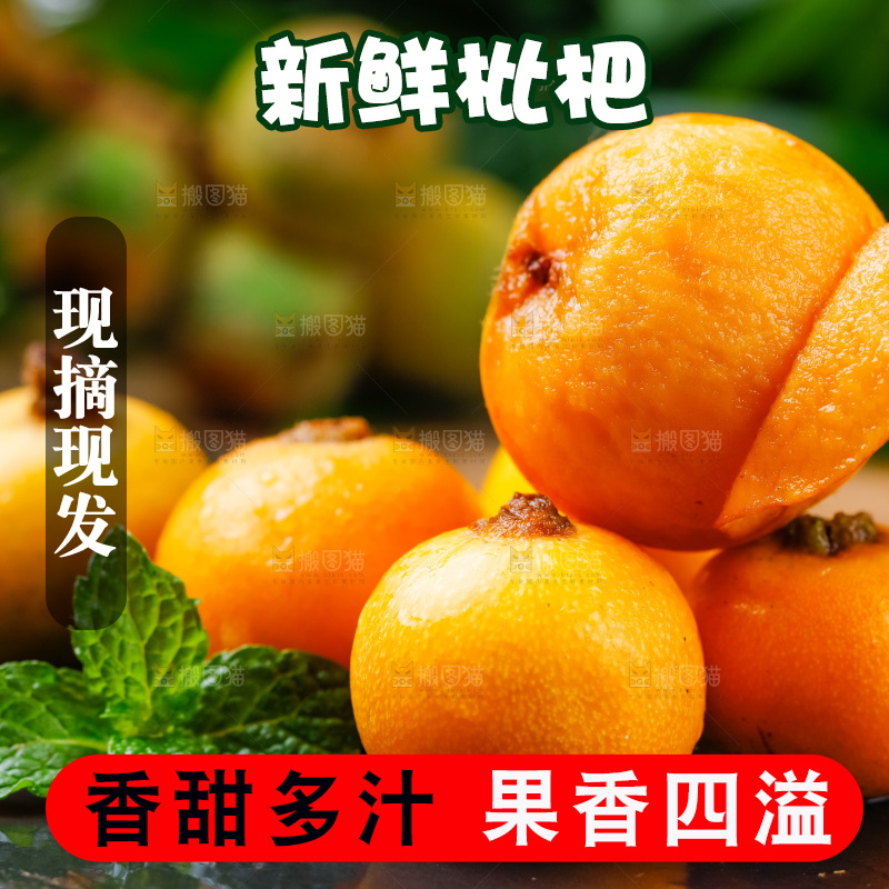 黑石板上放着四川米易枇杷