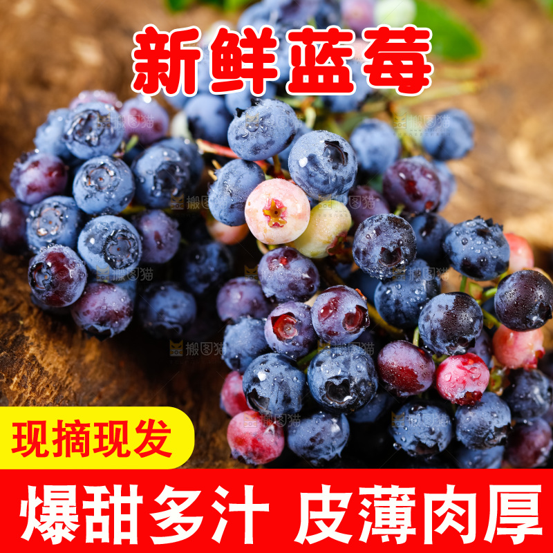 木底上放着新鲜蓝莓