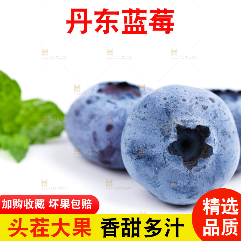 白底上放着新鲜蓝莓