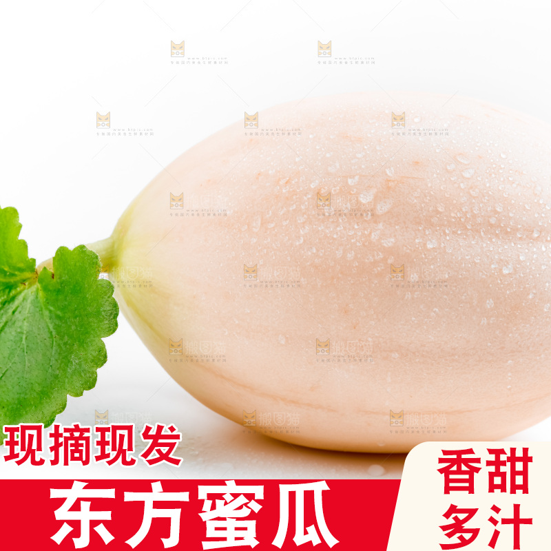 白底上的东方蜜瓜