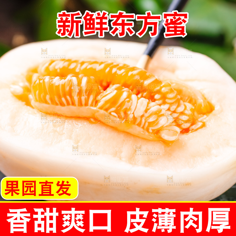 勺子里装着山东东方蜜瓜
