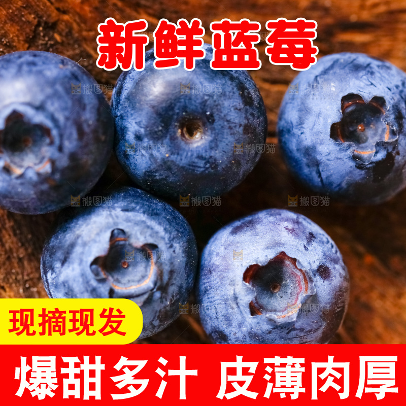 深底上摆放着蓝莓