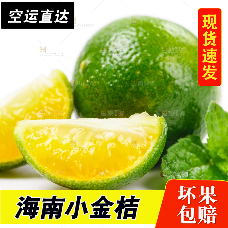 浅底上摆放着小金桔