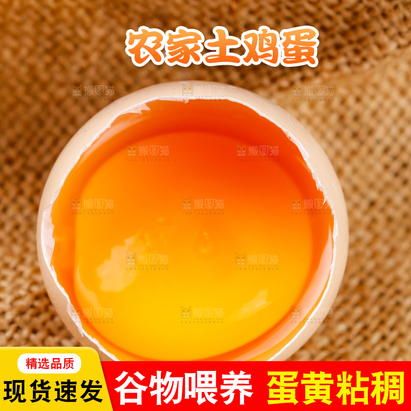 木底上放着新鲜土鸡蛋