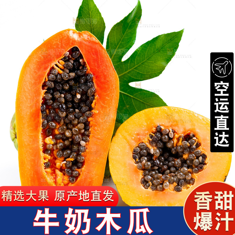 白底上摆放着牛奶木瓜