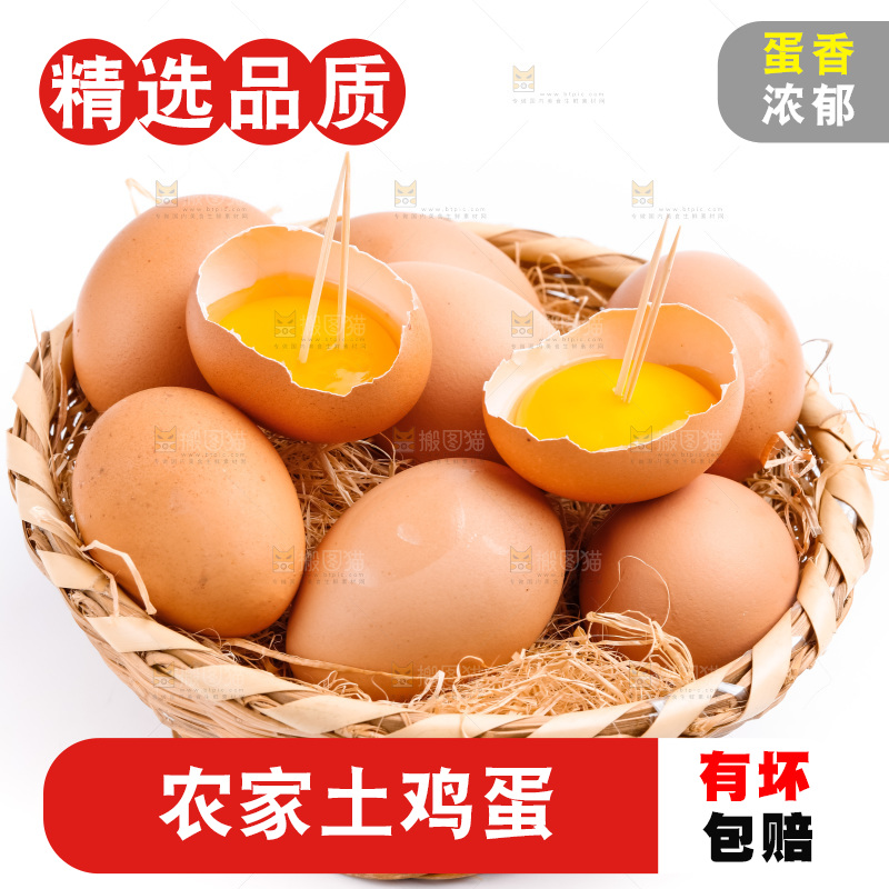 白底上放着散养鸡蛋
