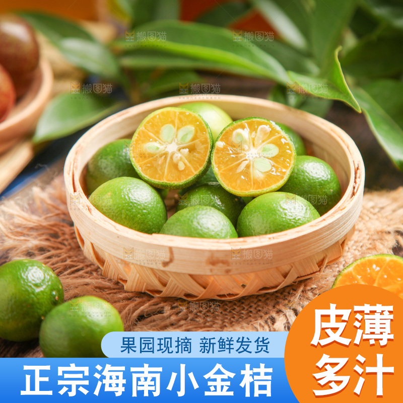 篮子里装着新鲜小金桔