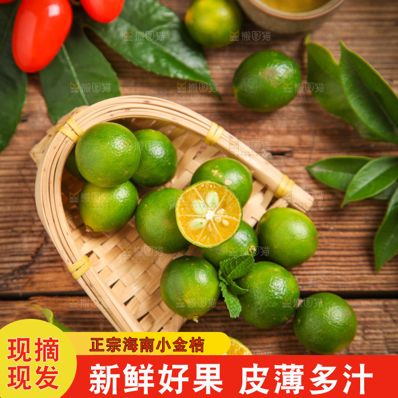 篮子里装着小金桔