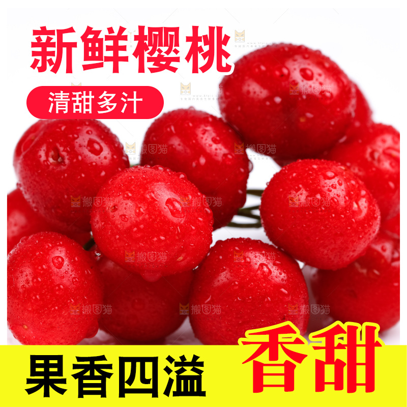 白底上的烟台樱桃