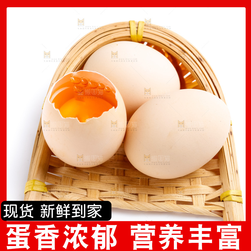 白底上的鸡蛋