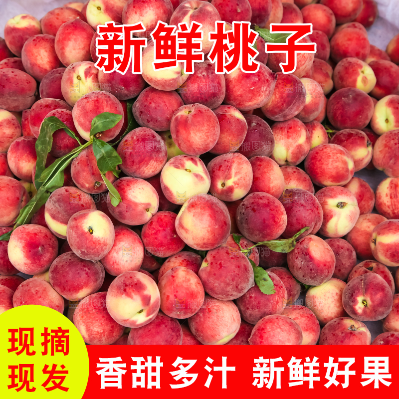 框子里装着毛桃