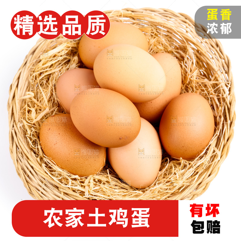 白底上的新鲜鸡蛋