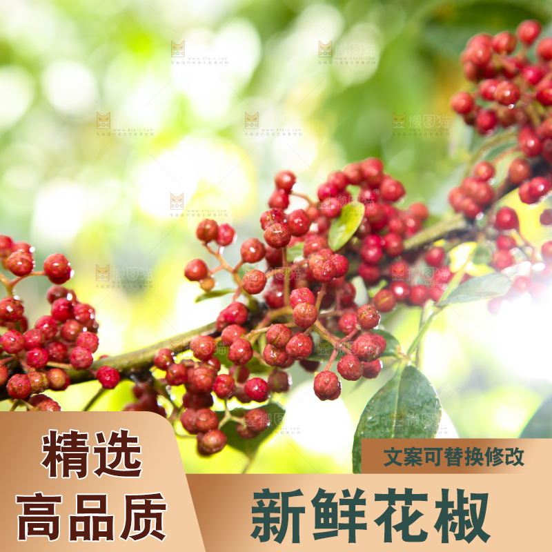 户外的红花椒
