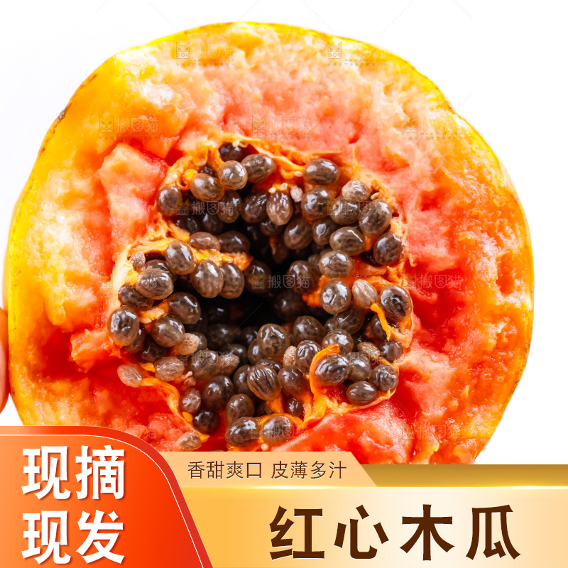 手里拿着海南红心木瓜