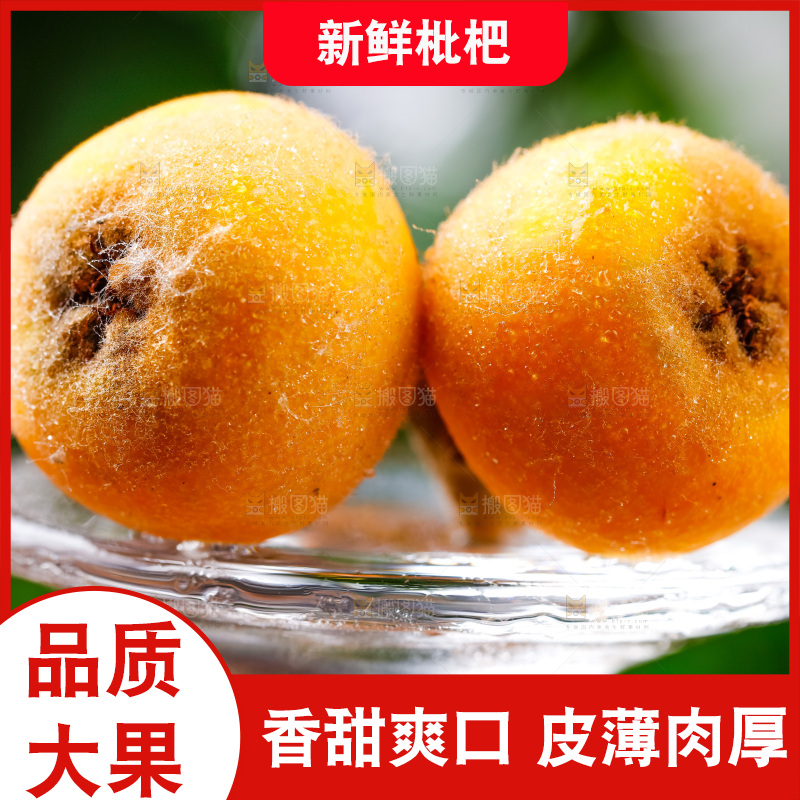 玻璃杯上放着枇杷