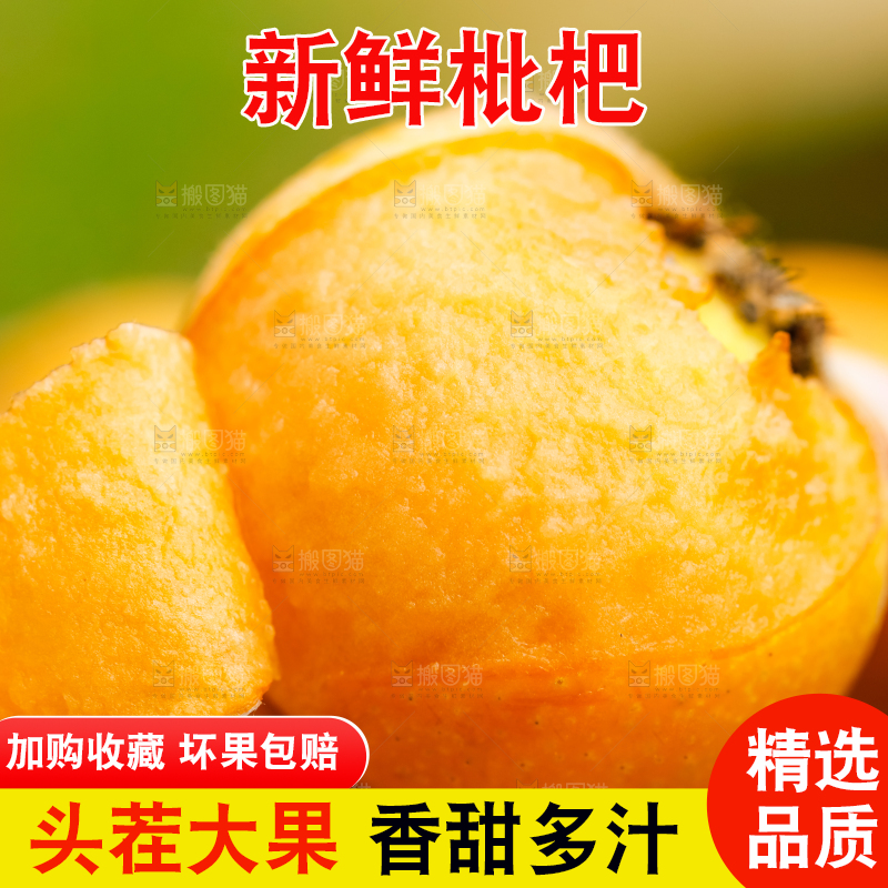 手里拿着枇杷果
