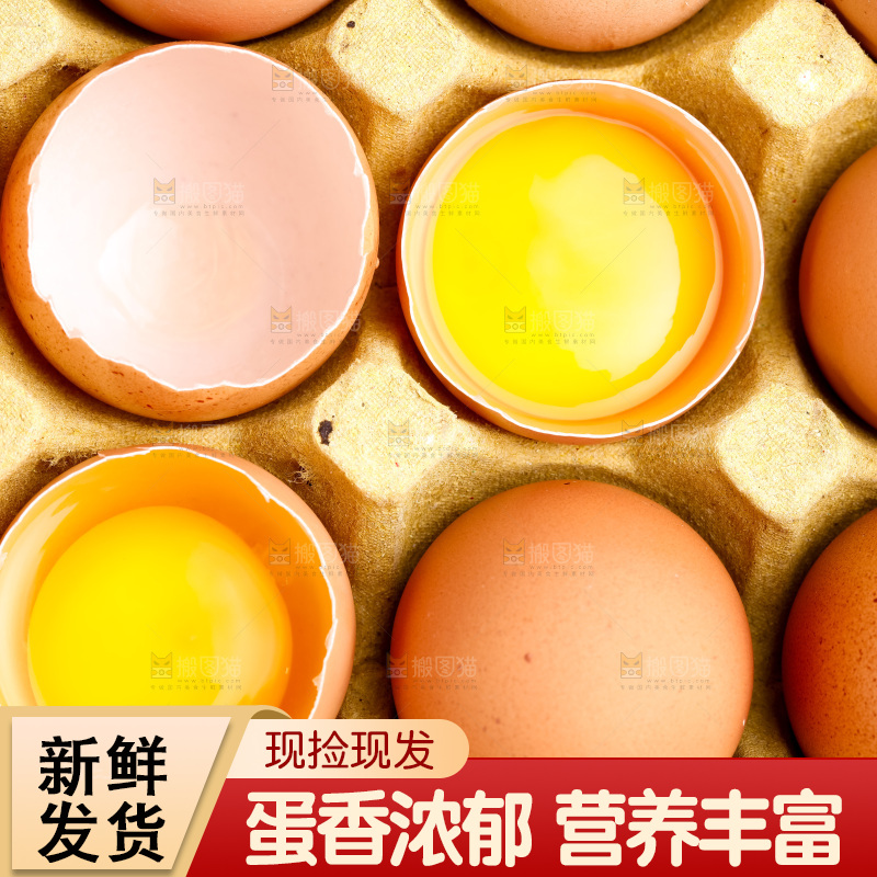 白底上的新鲜鸡蛋
