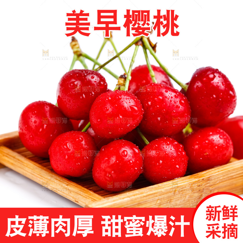 白底上的烟台樱桃