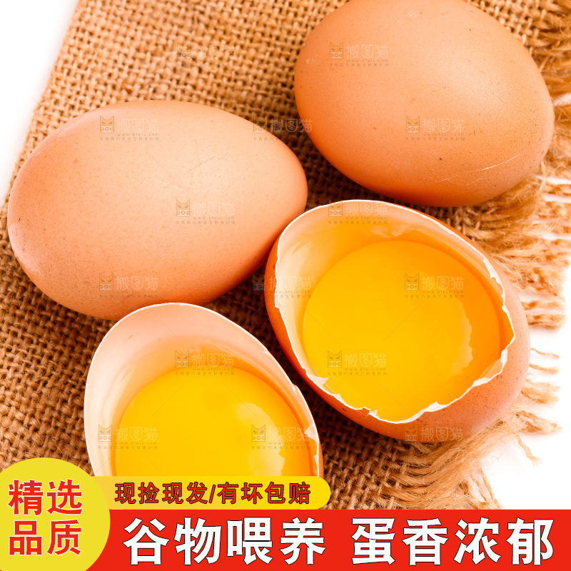 白底上放着散养鸡蛋