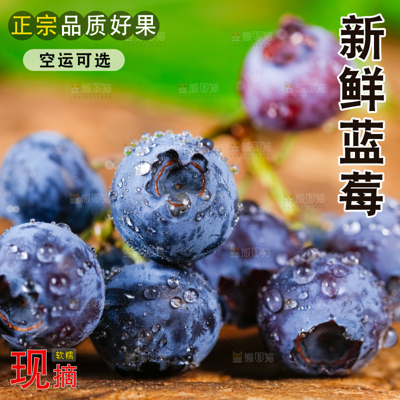 深底上摆放着蓝莓