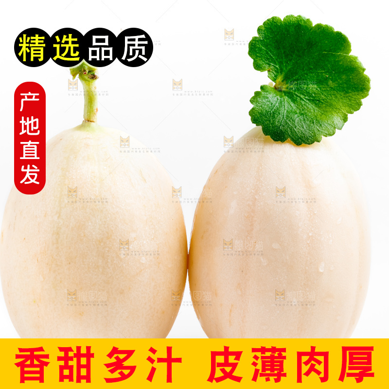 白底上的东方蜜瓜