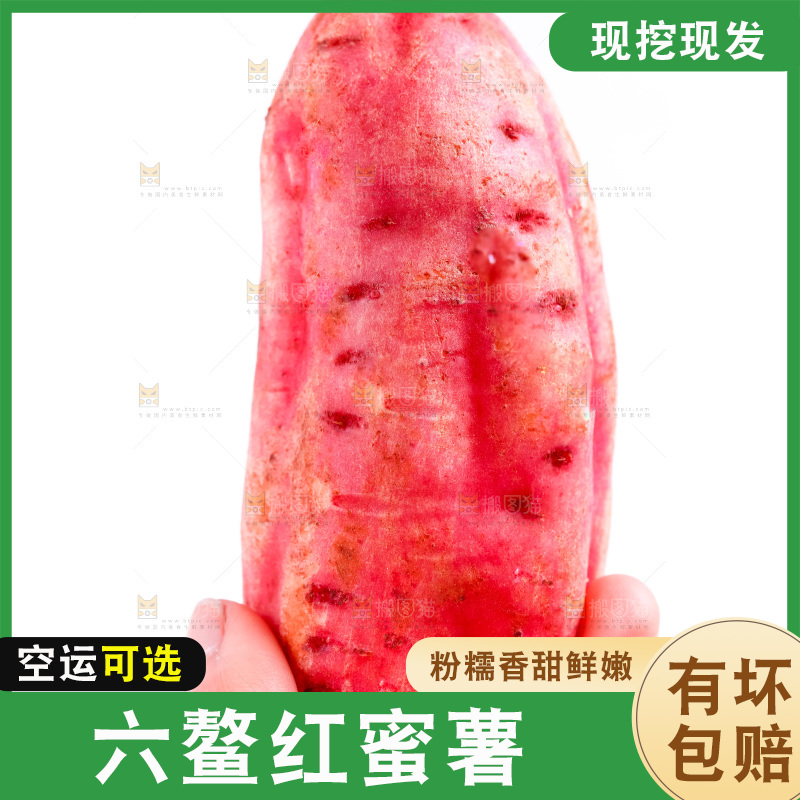 手里拿着红心蜜薯