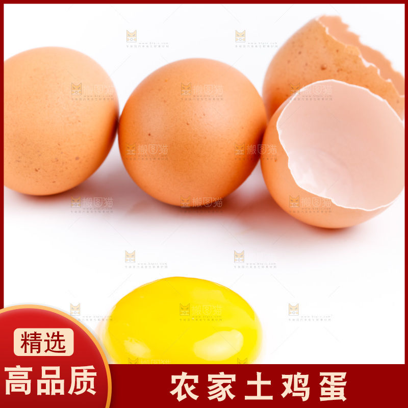 新鲜土鸡蛋放在白底上