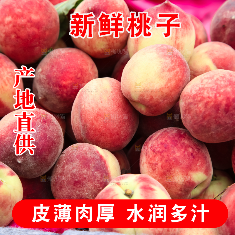 框子里装着毛桃