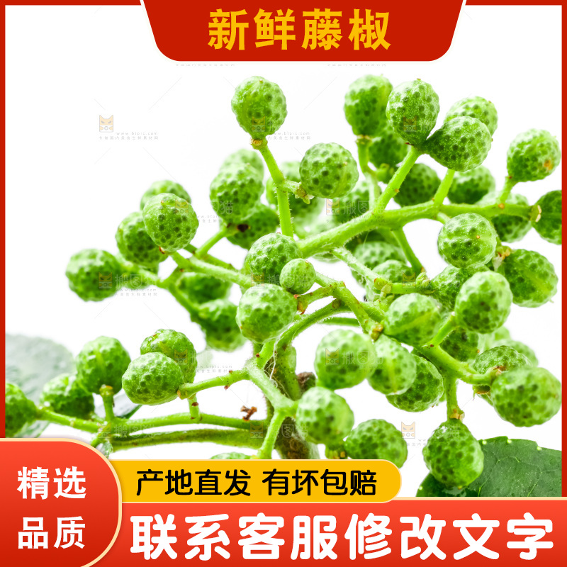 白底上摆放着新鲜藤椒